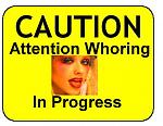 Click image for larger version

Name:	attention_whore.jpg
Views:	19
Size:	21.3 KB
ID:	102464