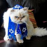 Click image for larger version

Name:	Chanuka Cat.jpg
Views:	67
Size:	36.2 KB
ID:	102963