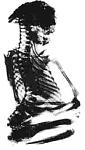 Click image for larger version

Name:	PedroSkeleton.jpg
Views:	98
Size:	14.9 KB
ID:	104307