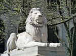 Click image for larger version

Name:	NYC Public Library_Lion_April2013.jpg
Views:	192
Size:	150.4 KB
ID:	105447