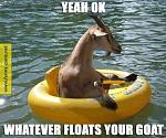 Click image for larger version

Name:	yeah-okay-whatever-floats-your-goat.jpg
Views:	969
Size:	57.5 KB
ID:	112799