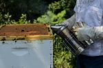Click image for larger version

Name:	honey extraction-11.jpg
Views:	362
Size:	77.6 KB
ID:	116859