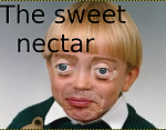 Click image for larger version

Name:	nectar.png
Views:	40
Size:	154.1 KB
ID:	119104