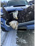 Click image for larger version

Name:	2024 03.07 Eagle Accident.jpg
Views:	871
Size:	101.9 KB
ID:	127237
