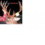Click image for larger version

Name:	yhwbuck2.jpg
Views:	449
Size:	29.9 KB
ID:	34865