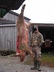 Click image for larger version

Name:	boar.jpg
Views:	318
Size:	74.2 KB
ID:	89823