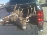 Click image for larger version

Name:	nice buck.jpg
Views:	385
Size:	49.9 KB
ID:	90323