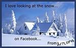 Click image for larger version

Name:	love-looking-at-the-snow-on-facebook-from-florida.jpg
Views:	21
Size:	42.0 KB
ID:	115591