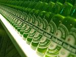 Click image for larger version

Name:	Heinekens lined up.jpg
Views:	206
Size:	117.7 KB
ID:	118878