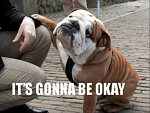 Click image for larger version

Name:	its-gonna-be-okay-14-hilarious-english-bulldog-memes-will-54383914.png
Views:	458
Size:	324.1 KB
ID:	119723