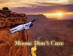 Click image for larger version

Name:	moosedontcare.jpg
Views:	70
Size:	52.3 KB
ID:	122746