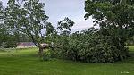 Click image for larger version

Name:	treedown.jpg
Views:	48
Size:	416.1 KB
ID:	127496