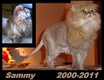 Click image for larger version

Name:	Sammy_2000-2011.JPG
Views:	845
Size:	153.0 KB
ID:	98195