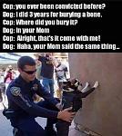 Click image for larger version

Name:	dog.jpg
Views:	313
Size:	33.2 KB
ID:	122589